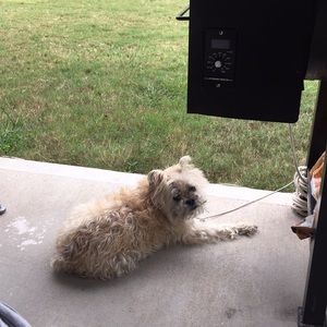 Meet your Posher, Cindy